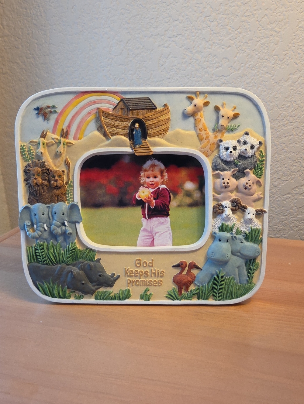 Noah's Ark Animal Photo Frame - Multicolor